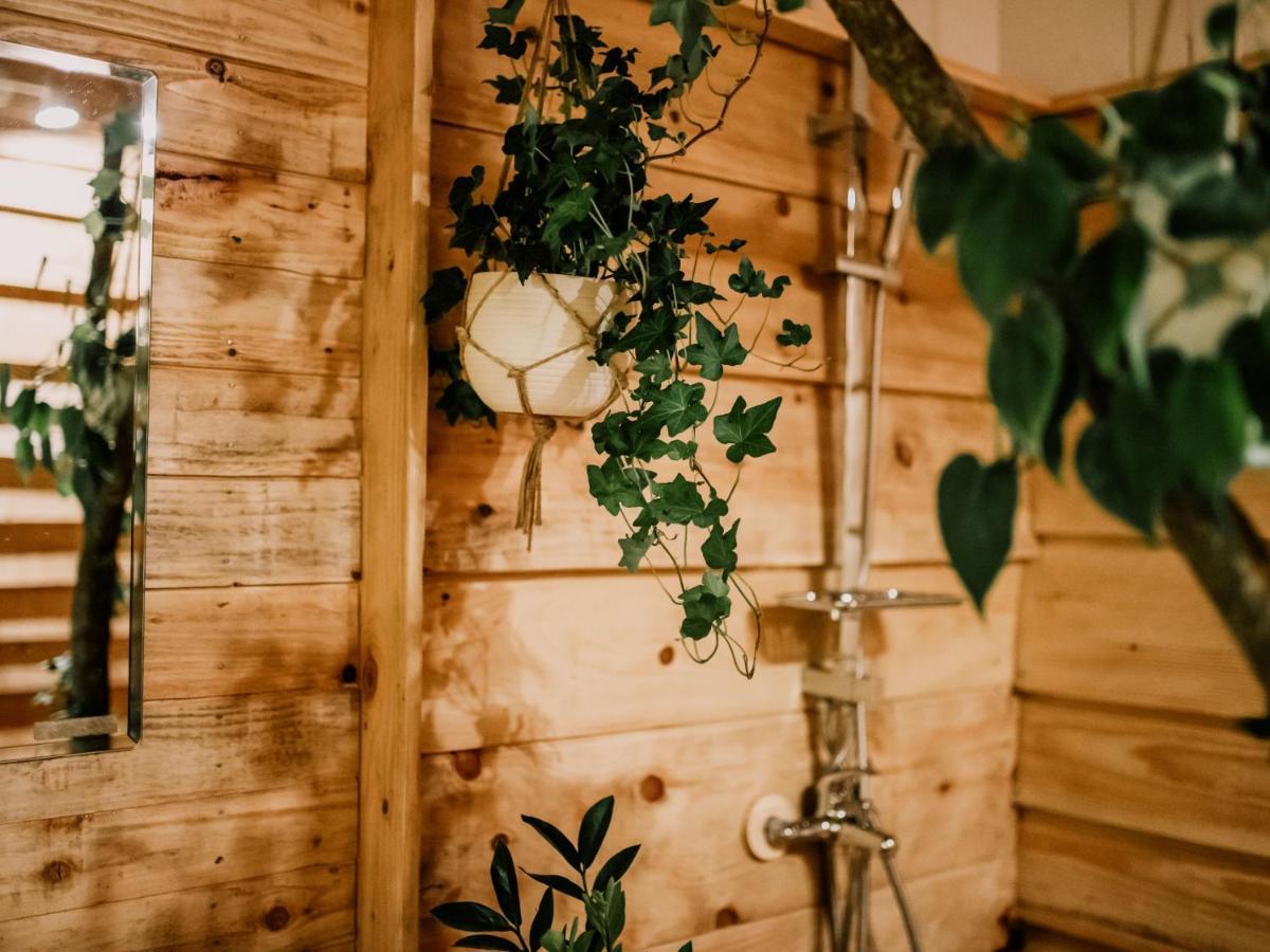 Glamping Hoopoe Glamping Virpazar