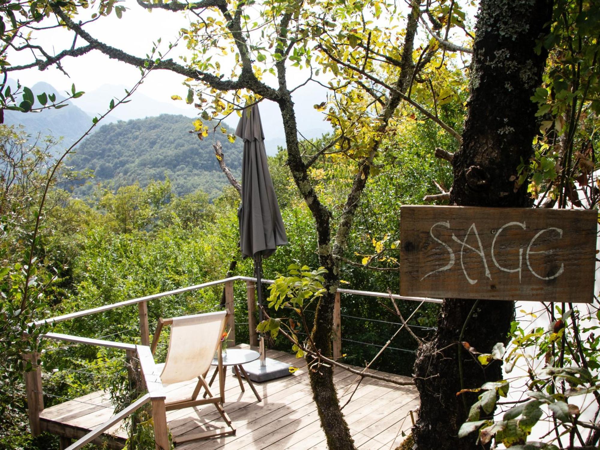 Hoopoe Glamping * Virpazar