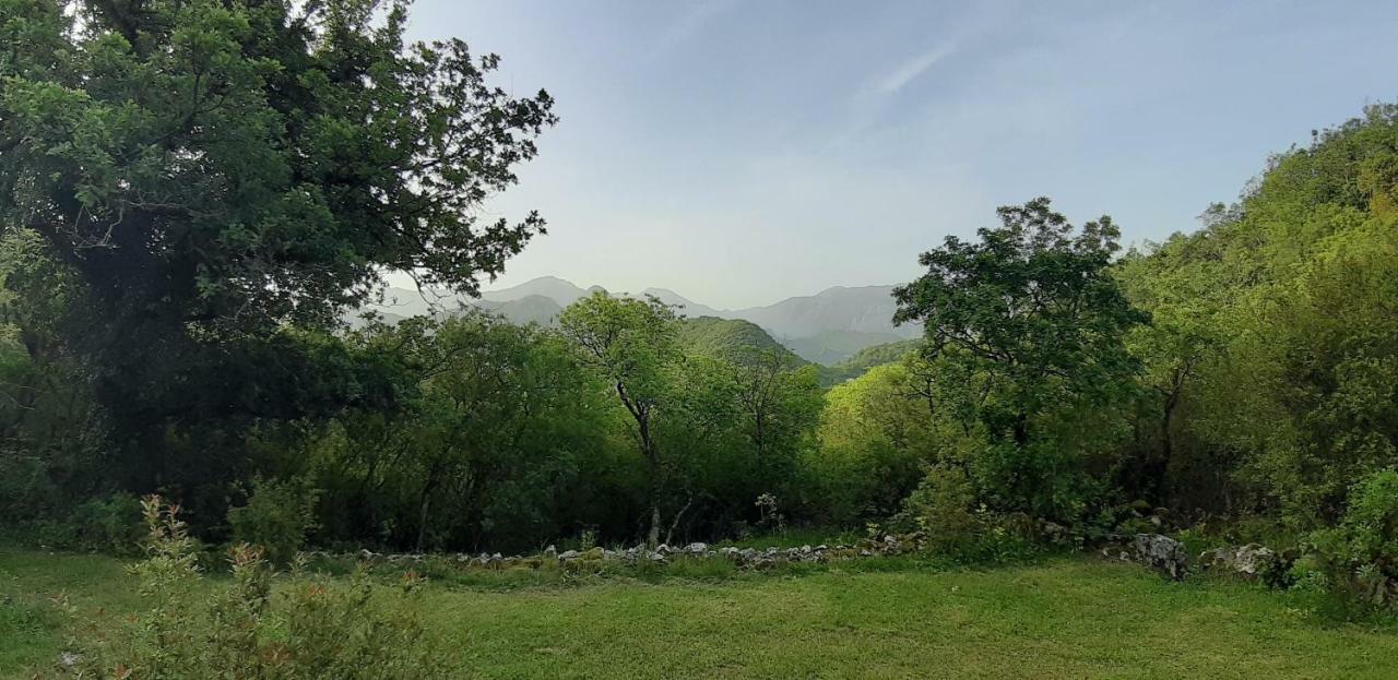 Hoopoe Glamping * Virpazar