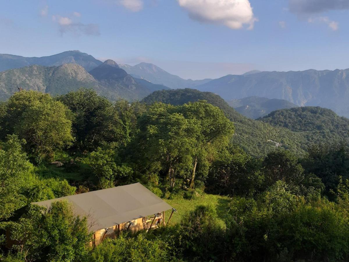 Glamping Hoopoe Glamping Virpazar